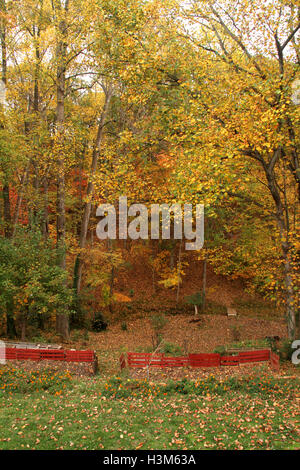 Bewaldeten Garten im Herbst, in Virginia Stockfoto