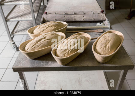 Rohe fermentierte Brote in einem Weidenkorb bereit in den Ofen. Das Konzept der Bäckerei und Konditorei Geschäfte. Stockfoto