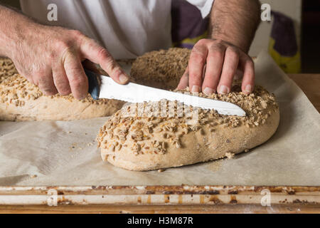 Rohe Sauerteigbrot mit Samen bestreut. Der Bäcker schmückt ein Messer Brot auf Backpapier in einer Bäckerei. Das Konzept des Backens ein Stockfoto