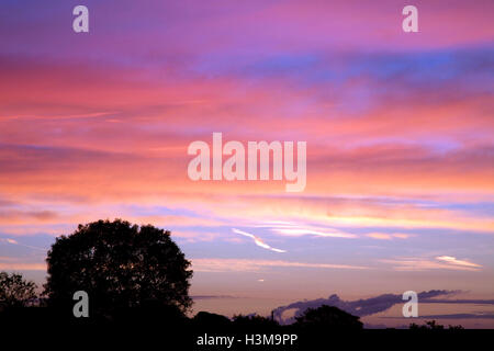 Oktober dawn, Carragartha Monaghan, Irland, Co. Stockfoto