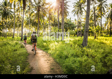 Rückansicht der beiden jungen Frauen Radfahren im Palmenwald Baum, Gili Meno, Lombok, Indonesien Stockfoto