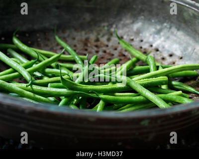 Frisches Bio-Gemüse, Boston feine Bohnen Stockfoto