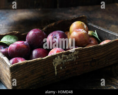 Frisches Bio-Obst, Pflaumen und Äpfel Stockfoto