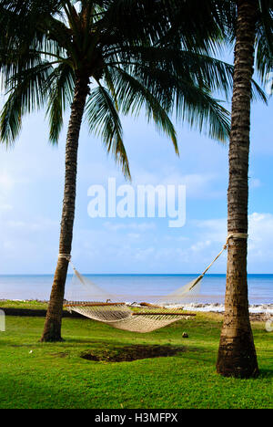 Hängematte zwischen zwei Palmen Bäume, Waimea, Kauai Insel Hawaii Stockfoto