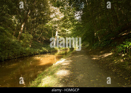 Llangollen Kanal bei Chirk auf der England-Wales-Grenze Bäume Reflexion im Kanal Stockfoto