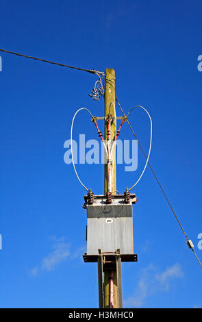 Ein Strom-Transformator auf eine Holzstange an einem abgelegenen Ort am Clippesby, Norfolk, England, Vereinigtes Königreich. Stockfoto