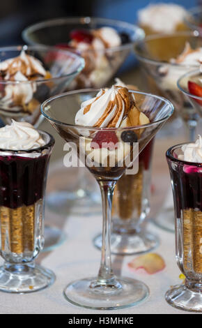 Köstliche Auswahl an Hochzeit Desserts auf einem Buffet-Tisch mit fruchtigen Meringues und Parfaits in elegante Gläser Stockfoto