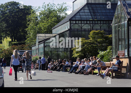 Botanische Gärten inmitten einer Parklandschaft im Westend von Glasgow Stockfoto