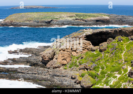 Admirals Arch und Casuarina Inselchen auf Kangaroo Island, Cape Du geschafft in Flinders chase Nationalpark, South Australia Stockfoto