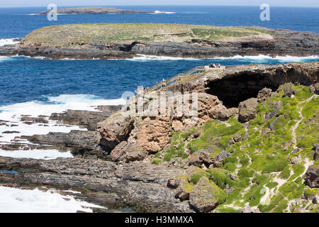 Admirals Arch und zerklüfteten Küste Kangaroo Island, Cape Du geschafft in Flinders Chase Nationalpark, South Australia Stockfoto