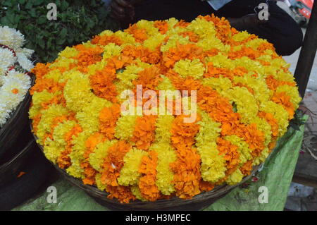 ein Blumengeschäft in Gandhi Basar bangalore Stockfoto