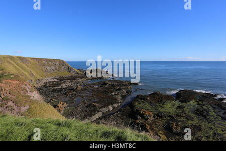 Küste zwischen lunan Bucht und auchmithie Angus Schottland Oktober 2016 Stockfoto