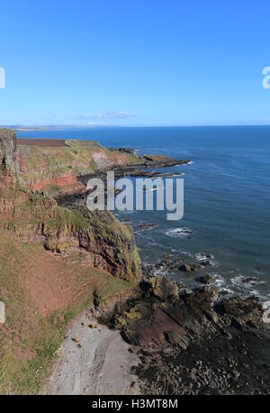 Küste zwischen lunan Bucht und auchmithie Angus Schottland Oktober 2016 Stockfoto