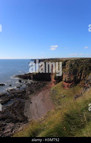 Küste zwischen lunan Bucht und auchmithie Angus Schottland Oktober 2016 Stockfoto