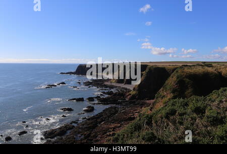 Küste zwischen lunan Bucht und auchmithie Angus Schottland Oktober 2016 Stockfoto