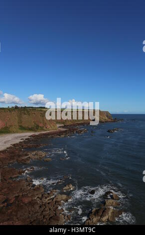 Küste zwischen lunan Bucht und auchmithie Angus Schottland Oktober 2016 Stockfoto