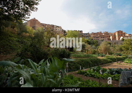 Häuser im Zentrum der Stadt, von der Orto de'Pecci, Siena, Toskana, Italien Stockfoto