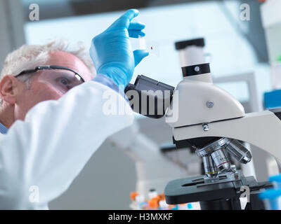 Wissenschaftler, die Probenvorbereitung schieben mit menschlichem Blutprobe unter dem Mikroskop im Labor zu Testzwecken anzeigen Stockfoto
