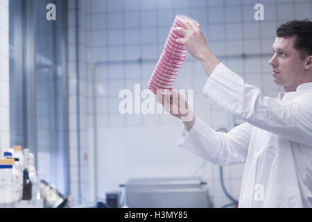 Wissenschaftler halten Stapel von Petrischalen im Labor Stockfoto