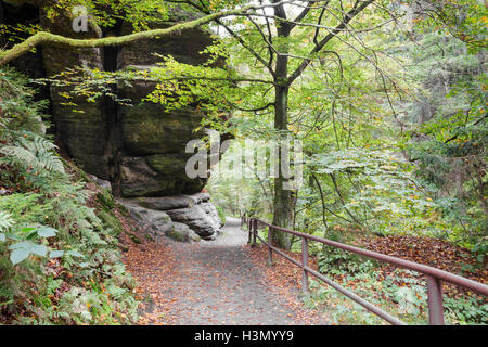 Wanderweg im Edmund-Schlucht am Fluss Kamenice, Hrensko, Usti Nad Labem, Tschechische Republik Stockfoto