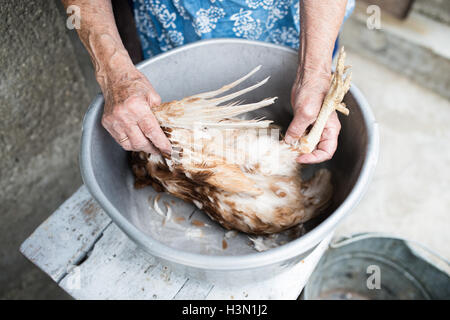 Nicht erkennbare senior Frau Reinigung frisch geschlachteten Huhn Stockfoto