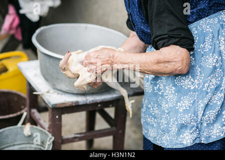 Nicht erkennbare senior Frau Reinigung frisch geschlachteten Huhn Stockfoto