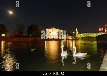 Wien, Wien: Nußdorf Wehr, Administration Building ViaDonau überbrücken Schemerlbrücke und Höckerschwäne (Cygnus Olor), 20., Wien Stockfoto