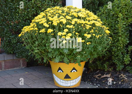 Halloween-Mütter in Kürbis Korb Stockfoto