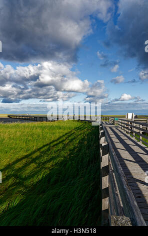 Dramatische Himmel über Kellys Strand Gehweg im Kouchibouguac National Park New Brunswick, Kanada Stockfoto