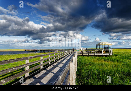 Dramatische Himmel über Kellys Strand Gehweg im Kouchibouguac National Park New Brunswick, Kanada Stockfoto