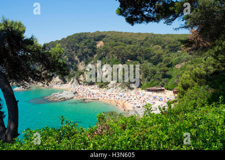 Playa Cala Sa Boadella Strand in der Nähe von Lloret de Mar an der Costa Brava, Spanien Stockfoto