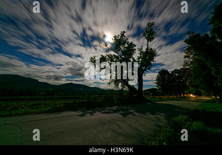 Ein Baum Silhouette gegen den Vollmond und ziehenden Wolken Stockfoto