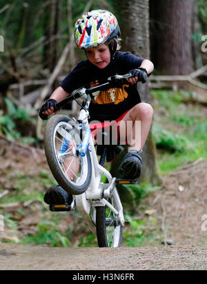 Ein kleiner Junge (4 Jahre alt) Tauchen einen Wheelie auf einem Pumptrack Stockfoto