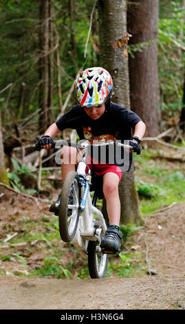 Ein kleiner Junge (4 Jahre alt) Tauchen einen Wheelie auf einem Pumptrack Stockfoto