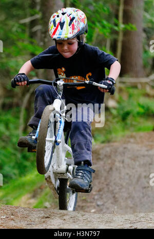 Ein kleiner Junge (4 Jahre alt) Tauchen einen Wheelie auf einem Pumptrack Stockfoto