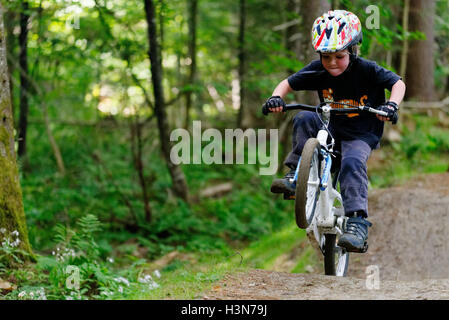 Ein kleiner Junge (4 Jahre alt) Tauchen einen Wheelie auf einem Pumptrack Stockfoto