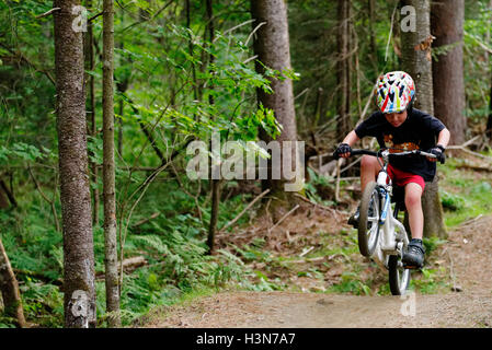 Ein kleiner Junge (4 Jahre alt) Tauchen einen Wheelie auf einem Pumptrack Stockfoto