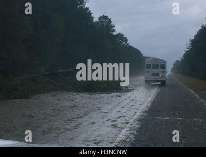 USA. 8. Oktober 2016. Eine Baum Blöcke Passage über die Interstate 16 als Georgia National Guard Mitglieder nähern Savannah, Georgia, Vereinigte Staaten während Hurrikan Matthew, 8. Oktober 2016. Bild mit freundlicher Genehmigung Nationalgarde/Handout über Gado Bilder/Alamy Live News. Stockfoto