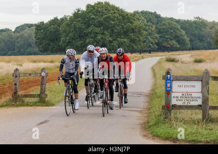 Radfahrer genießen nebligen Morgen in Richmond Park, London England Vereinigtes Königreich UK Stockfoto