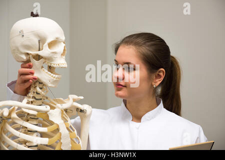 junge Ärztin arbeitet im Labor mit Skelett Stockfoto