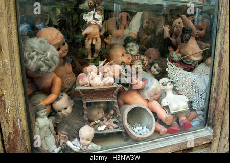 Puppen und Marionetten im Schaufenster von "Puppe Hospital" in Via di Ripetta von Rom Stockfoto