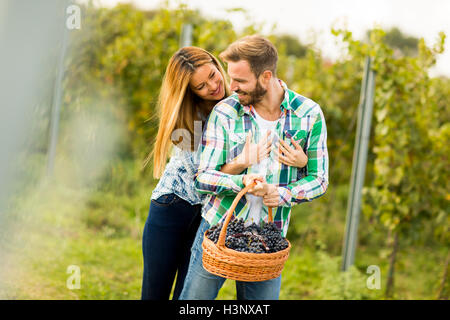 Blick auf Landwirte, die Ernte der Trauben im Weinberg Stockfoto