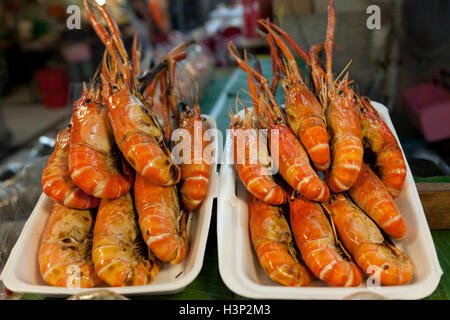Gegrillte oder gegrillte black Tigergarnelen in Styropor-Container oder Tor Gor Markt in Bangkok zu verkaufen. Stockfoto