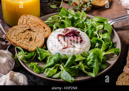 Camembert Käse mit Salat, Panini Brot und süße rote Zwiebel Stockfoto