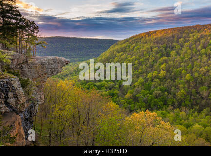 Ozark National Forest, AR: Sonnenaufgang am Hawksbill Crag im oberen Buffalo Wildnisgebiet Stockfoto