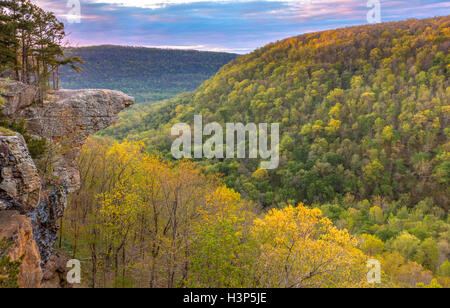 Ozark National Forest, AR: Sonnenaufgang am Hawksbill Crag im oberen Buffalo Wildnisgebiet Stockfoto