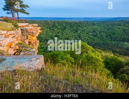 Petit Jean Staatspark, AR: Flechten bedeckt Sandstein-Klippen von Cedar Creek Canyon Overlook auf Red Bluff Laufwerk Stockfoto