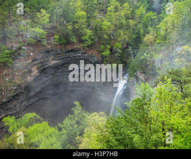 Petit Jean Staatspark, Arkansas: Cedar Creek liegt umgeben von Hartholz Frühlingswald Stockfoto