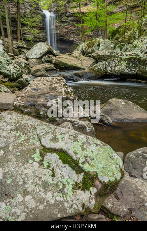 Petit Jean Staatspark, Arkansas: Cedar Creek Falls in Hartholz Frühlingswald Stockfoto