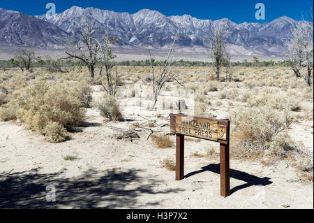Manzanar Free Press, Manzanar nationale historische Stätte wo 110 japanische Amerikaner während des zweiten Weltkriegs umgesiedelt wurden. Stockfoto